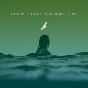 Technimatic: Flow State, Vol. 1 (DJ Mix)