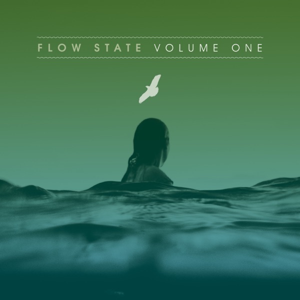 Technimatic: Flow State, Vol. 1 (DJ Mix)