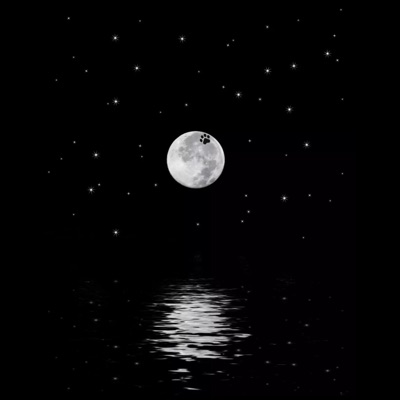 Luna - Single