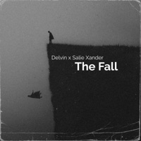 The Fall (feat. Salie Xander) - Single - Delvin
