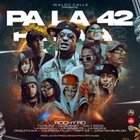 Pa La 42 (feat. La Demente, Dilon Baby, Jonatan Burlon, La Mas Doll, Kaly Ocho, Young Gatillo, Tripy 03, Onguito Wa, Waldo Calle, DON FORTY FIVE & El Peluche 42) - Single - Rochy RD, La Sadica & Tivi Gunz