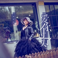 爱你过了头 - Single - 李若冰