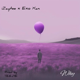 Why (feat. Exo Xan) iZaytee