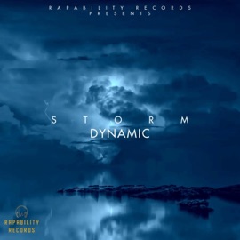 Storm Dynamic