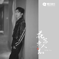 花落无人知 - Single - Silk Ye