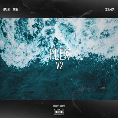Flex V2 (feat. scarra) - Single