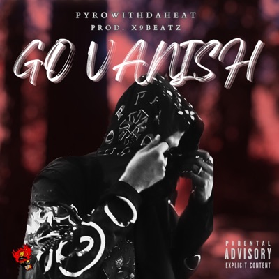 Go Vanish - Single