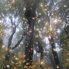 #Try Meee (feat. 1Spxce) chromerax