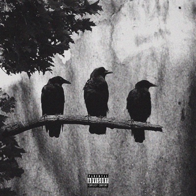 Hierarchy (feat. LocalBlac & Ka$ei NoKo) - Single