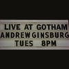 Live At Gotham - Andrew Ginsburg