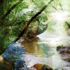 Fills Monkeys Monkey Dance Fill With Your Soul - EP