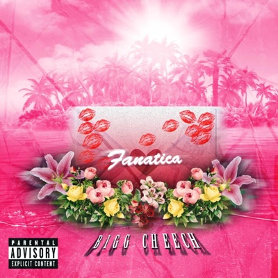 Fanatica - Single