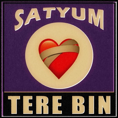 Tere Bin - Single