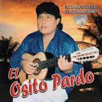 Cómo Duele El Corazón — El Osito Pardo