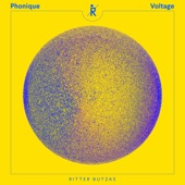 Voltage (Maxim Lany Remix) artwork