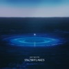 Snowflakes - Single