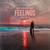 Feelings artwork