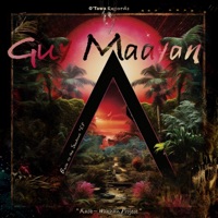 Back to the Shadows (Wākhan Project Remix) - Single - Guy Maayan