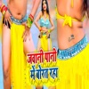 Jawani Pani Me Borat Rha - Single