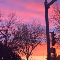 Ride or die (feat. Curtains) - Single - Brendan Kush