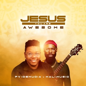 Jesus You Are Awesome (feat. Mali Music)