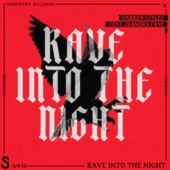 Rave Into The Night (feat. Diandra Faye) artwork