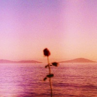 The Way Down - Single - Andrew Kamen