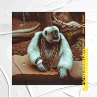 Cali Zoo (feat. A.K.A. Guadalupe Alfaro & Yung Pablo) - Single - Many Kiddz & Saint Impala