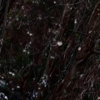 Cemetary - Single - VESSEL