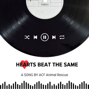Hearts Beat the Same (A Song By ACF Animal Rescue)