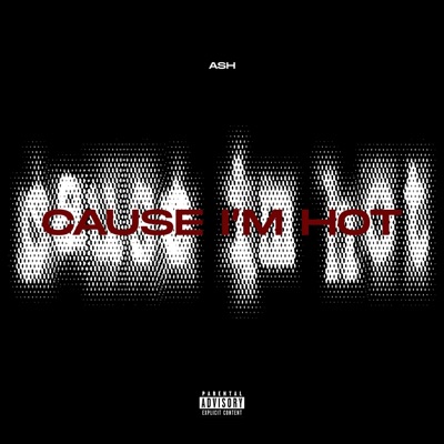 Cause I'm Hot - Single