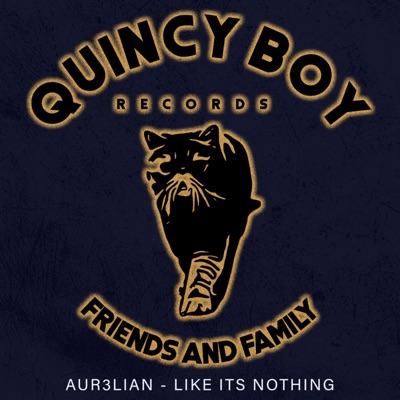 Like It's Nothing (Radio Edit) - Single