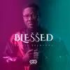 Akesse Brempong & Joe Mettle - Blessed