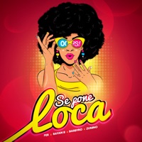 Se Pone Loca (feat. Barbyro, Rayan B & Zunino) - Single - Fer