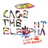 Thank You Happy Birthday (Expanded Edition) artwork