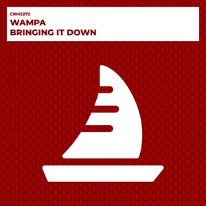 Bringing It Down - Single