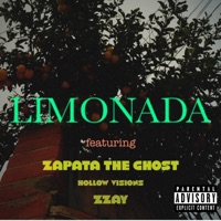 Limonada (feat. Zapata the Ghost & ZZAY) - Single - Hollow Visions