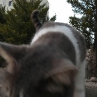 Goodbyes - Single - rewind