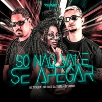 Só Não Vale Se Apegar - Single - Mc Rose da Treta, MC TCHULIN & DJ Samrio