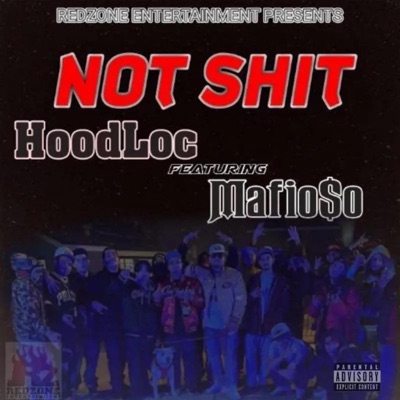 Not Shit - Single