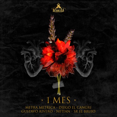 1 Mes (feat. Diego El Cangri, Nettan, Gustavo Rivero & SR El Brujo) - Single