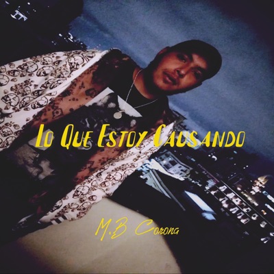 Lo Que Estoy Causando - Single
