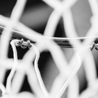 The Rebound - Single - Chris Kane