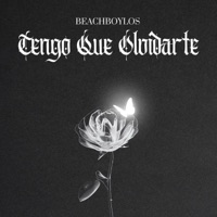 Tengo Que Olvidarte - Single - Beachboylos