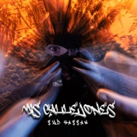 Mis Callejones - Single - Syd.Hassan