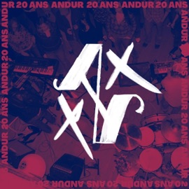 Settevees (Ans. Anduri tribuut) Ans. Andur & Ouu