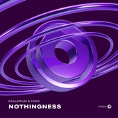 Nothingness artwork