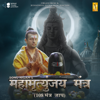 Mahamrityunjay Mantra (108 Mantra Jaap) - Sonu Nigam