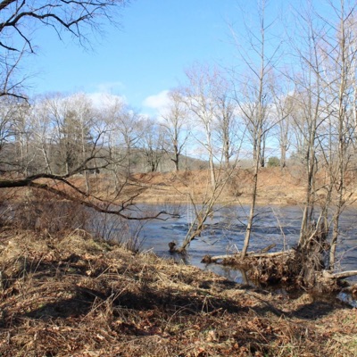 Blood Red Wine - Single