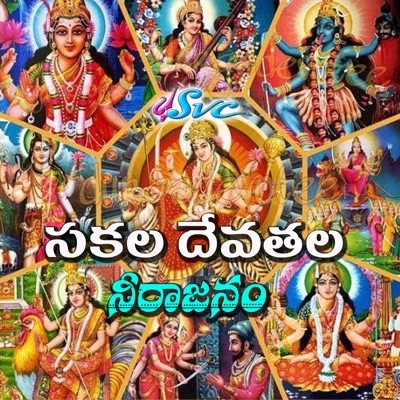 Sakala Devatala Neerajanam - Single